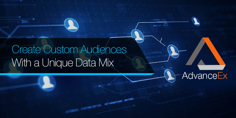 AdvanceEx Create Custom Audience with a Unique Data Mix